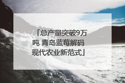 总产量突破9万吨 青岛蓝莓解码现代农业新范式