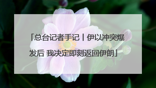 总台记者手记丨伊以冲突爆发后 我决定即刻返回伊朗
