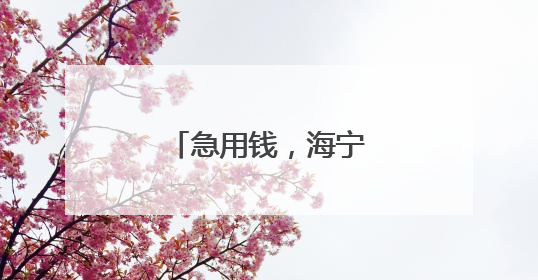 急用钱，海宁小伙一顿操作后更缺钱了……