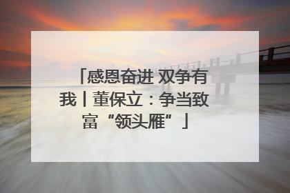 感恩奋进 双争有我丨董保立：争当致富“领头雁”