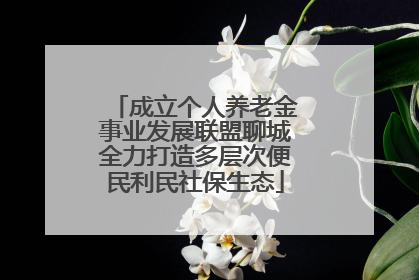 成立个人养老金事业发展联盟聊城全力打造多层次便民利民社保生态