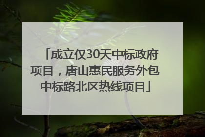 成立仅30天中标政府项目，唐山惠民服务外包中标路北区热线项目