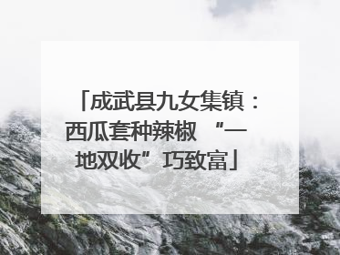 成武县九女集镇：西瓜套种辣椒 “一地双收”巧致富