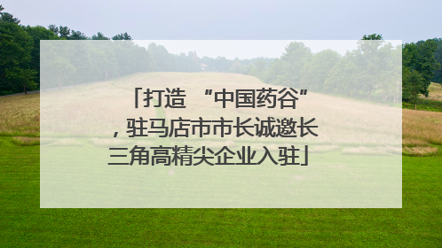 打造 “中国药谷”，驻马店市市长诚邀长三角高精尖企业入驻