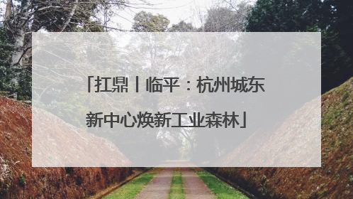 扛鼎丨临平：杭州城东新中心焕新工业森林