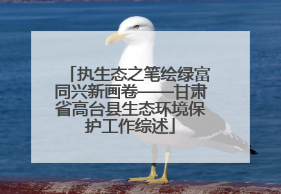 执生态之笔绘绿富同兴新画卷——甘肃省高台县生态环境保护工作综述
