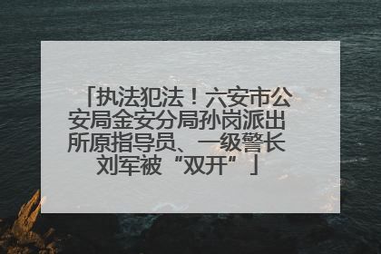 执法犯法！六安市公安局金安分局孙岗派出所原指导员、一级警长刘军被“双开”