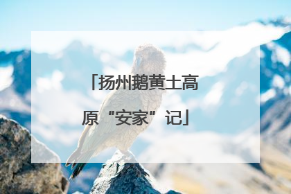 扬州鹅黄土高原“安家”记