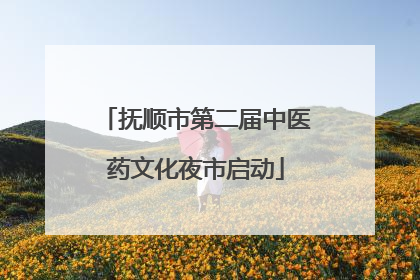 抚顺市第二届中医药文化夜市启动