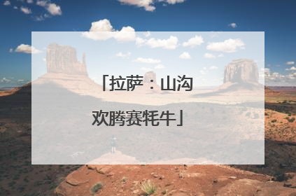 拉萨：山沟欢腾赛牦牛