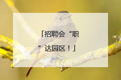 招聘会“职”达园区！