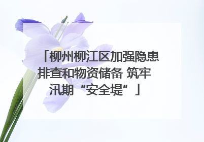 柳州柳江区加强隐患排查和物资储备 筑牢汛期“安全堤”
