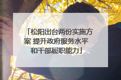 松阳出台两份实施方案 提升政府服务水平和干部履职能力