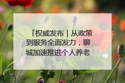 权威发布｜从政策到服务全面发力，聊城加速推进个人养老金制度落地