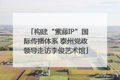 构建“紫藤IP”国际传播体系 泰州党政领导走访李俊艺术馆
