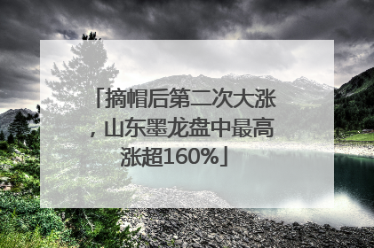 摘帽后第二次大涨，山东墨龙盘中最高涨超160%