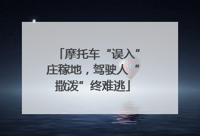 摩托车“误入”庄稼地，驾驶人“撒泼”终难逃