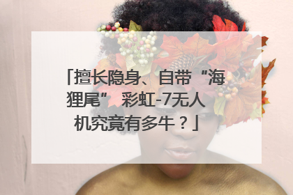 擅长隐身、自带“海狸尾” 彩虹-7无人机究竟有多牛？