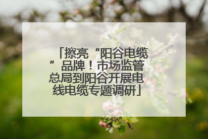 擦亮“阳谷电缆”品牌！市场监管总局到阳谷开展电线电缆专题调研