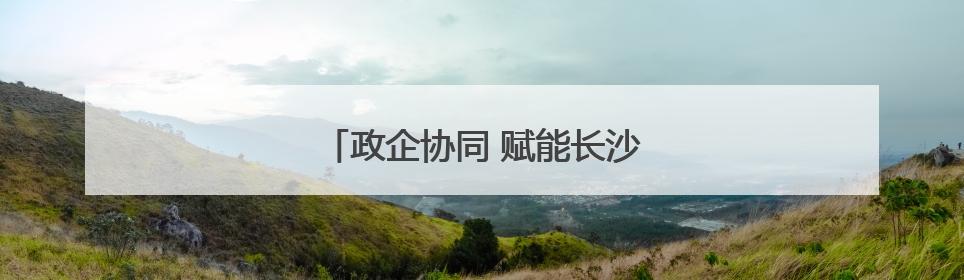 政企协同 赋能长沙高铁新城自贸经济圈