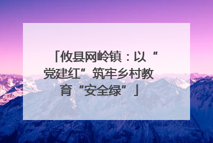 攸县网岭镇：以“党建红”筑牢乡村教育“安全绿”