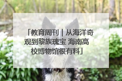教育周刊｜从海洋奇观到黎族瑰宝 海南高校博物馆很有料