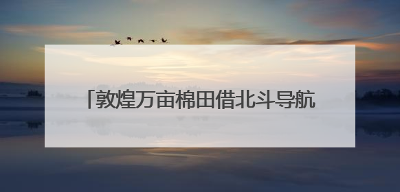 敦煌万亩棉田借北斗导航播种系统实现“精种”