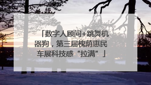 数字人顾问+跳舞机器狗，第三届槐荫惠民车展科技感“拉满”
