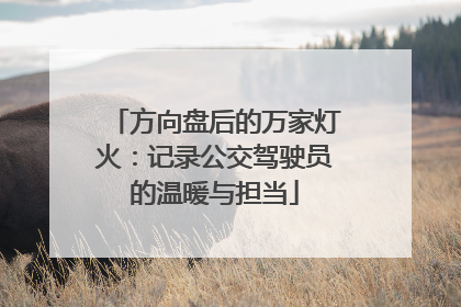 方向盘后的万家灯火：记录公交驾驶员的温暖与担当