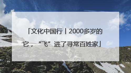 文化中国行丨2000多岁的它，“飞”进了寻常百姓家