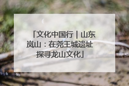 文化中国行｜山东岚山：在尧王城遗址探寻龙山文化