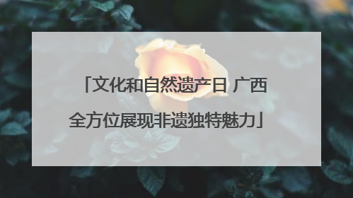 文化和自然遗产日 广西全方位展现非遗独特魅力