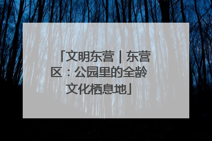 文明东营｜东营区：公园里的全龄文化栖息地