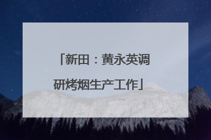 新田：黄永英调研烤烟生产工作
