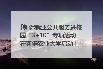 新疆就业公共服务进校园“3+10”专项活动在新疆农业大学启动