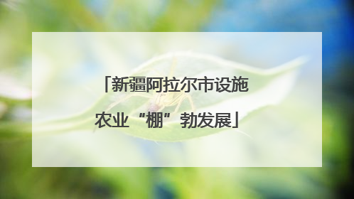 新疆阿拉尔市设施农业“棚”勃发展