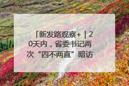 新发路观察+｜20天内，省委书记两次“四不两直”暗访，有何深意？