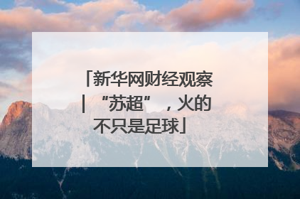 新华网财经观察|“苏超”,火的不只是足球