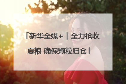 新华全媒+｜全力抢收夏粮 确保颗粒归仓