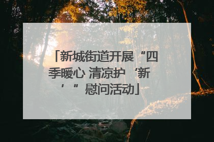 新城街道开展“四季暖心 清凉护‘新’”慰问活动