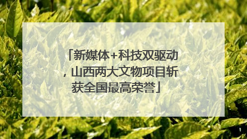 新媒体+科技双驱动,山西两大文物项目斩获全国最高荣誉