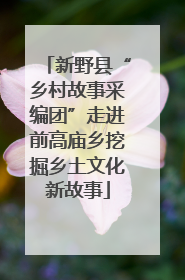 新野县“乡村故事采编团”走进前高庙乡挖掘乡土文化新故事