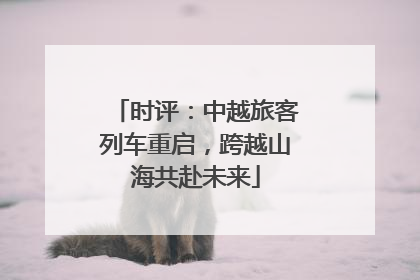 时评：中越旅客列车重启，跨越山海共赴未来