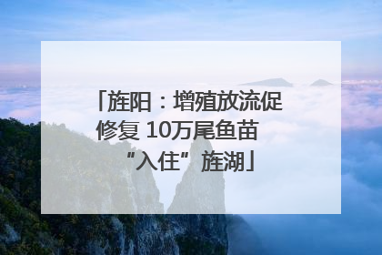 旌阳：增殖放流促修复 10万尾鱼苗“入住”旌湖