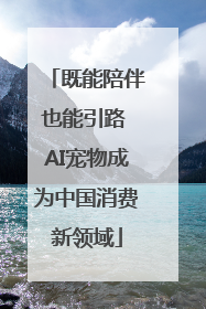 既能陪伴也能引路 AI宠物成为中国消费新领域