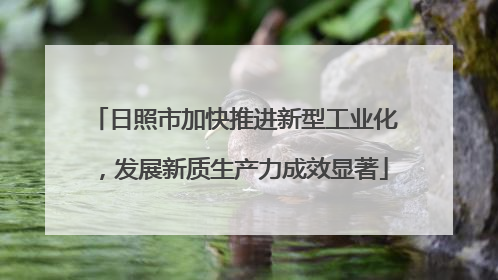 日照市加快推进新型工业化，发展新质生产力成效显著