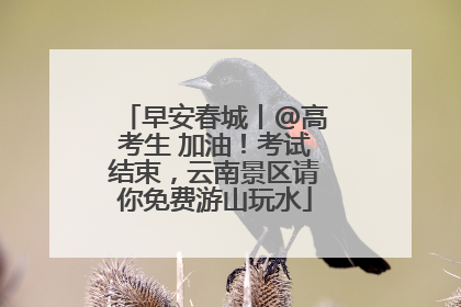 早安春城丨@高考生 加油！考试结束，云南景区请你免费游山玩水