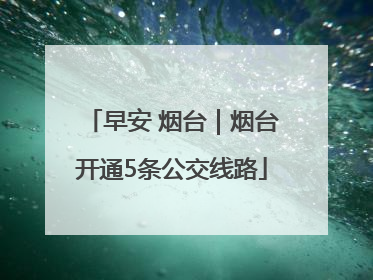 早安 烟台｜烟台开通5条公交线路