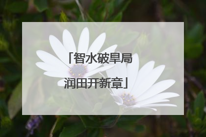 智水破旱局 润田开新章