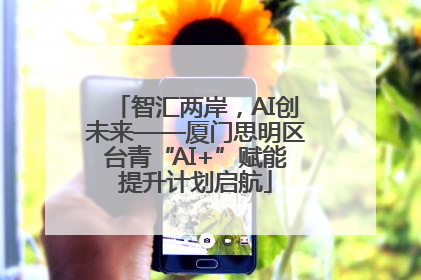 智汇两岸，AI创未来——厦门思明区台青“AI+”赋能提升计划启航
